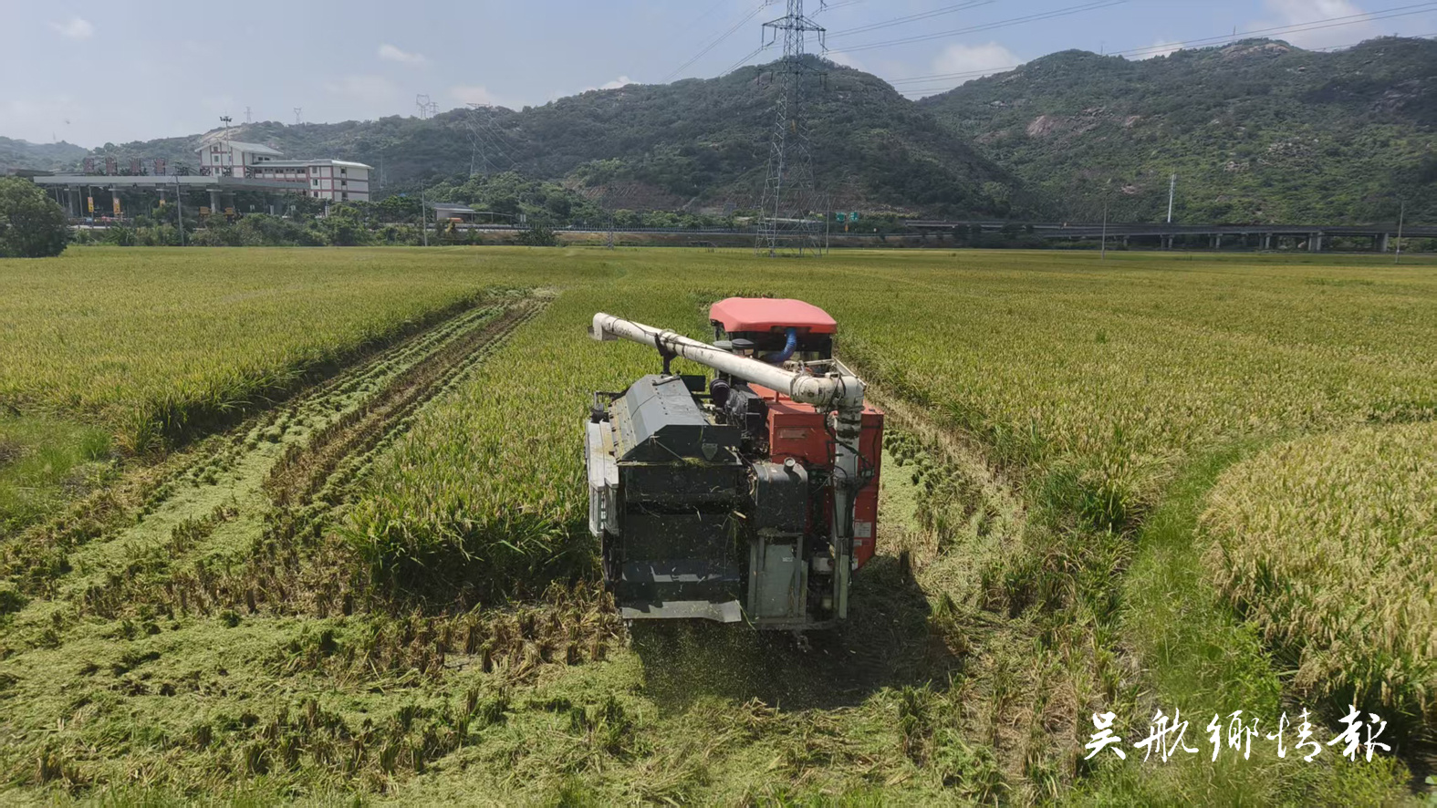 长乐:精研农技优良稻种 筑牢粮食安全屏障 长乐:精研农技优良稻种 筑牢粮食安全屏障