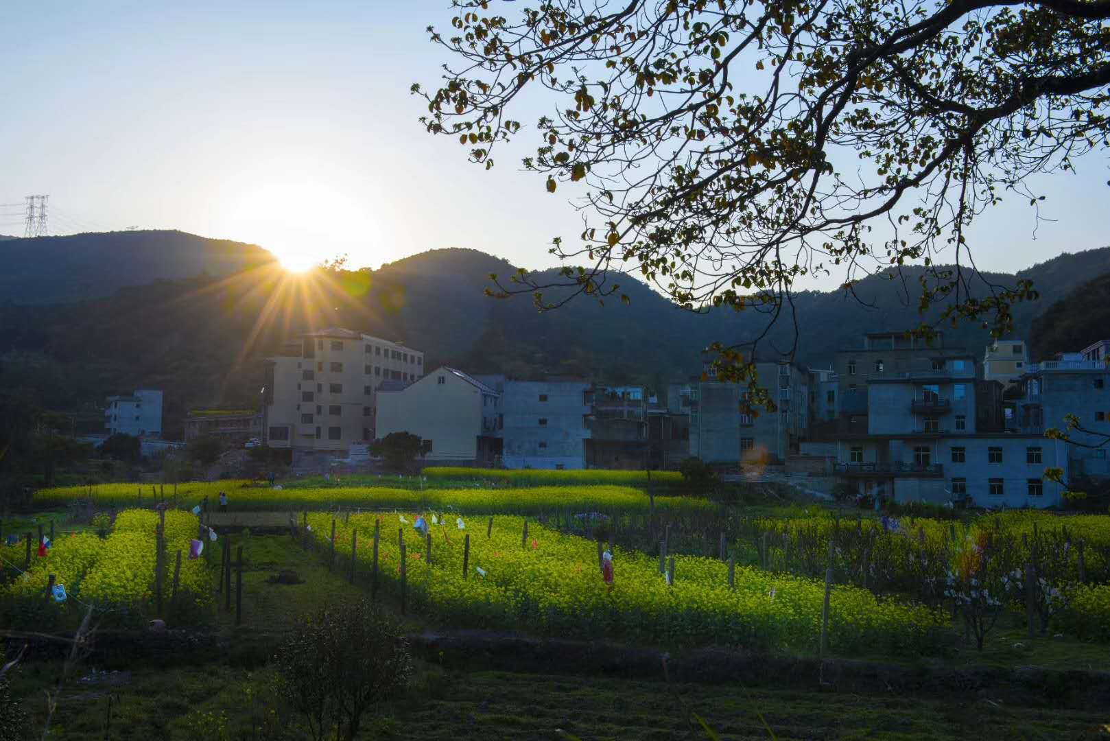 马台风情