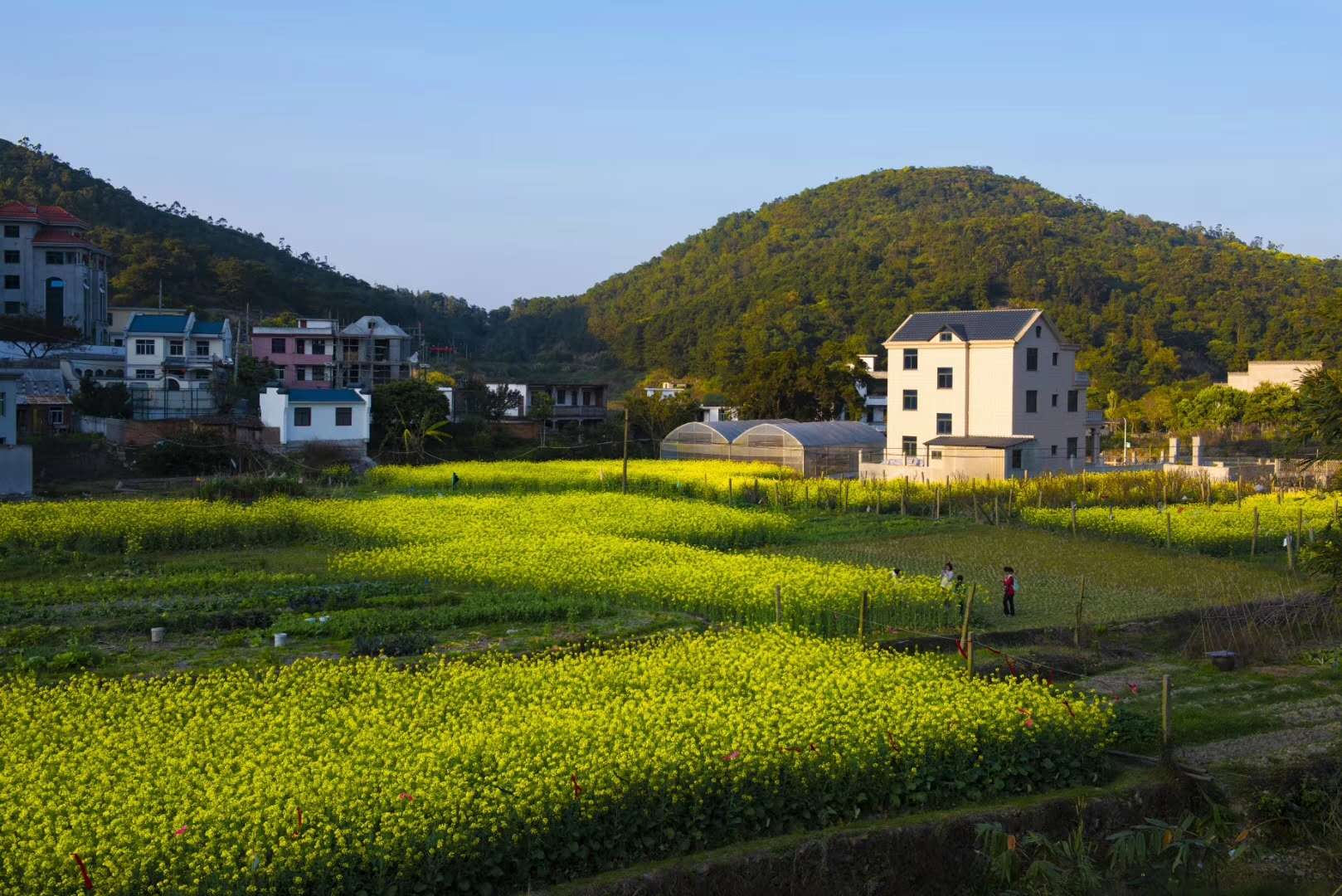 马台风情
