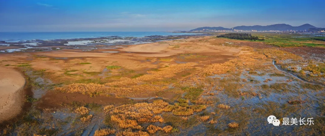 区领导调研闽江河口湿地