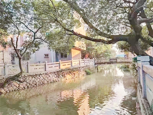 全力打造福州新城区、副中心 加快建设现代化国际城市的重要窗口