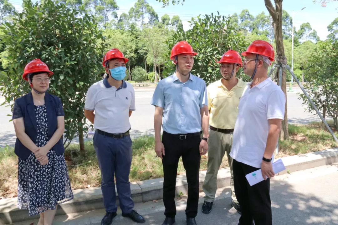 区领导调研防台防汛、疫苗接种、医院重点项目建设工作