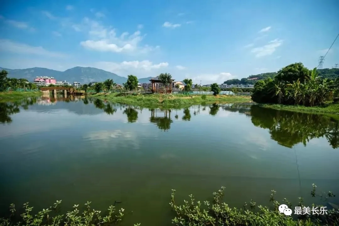 干货满满！今天这场新闻发布会事关……