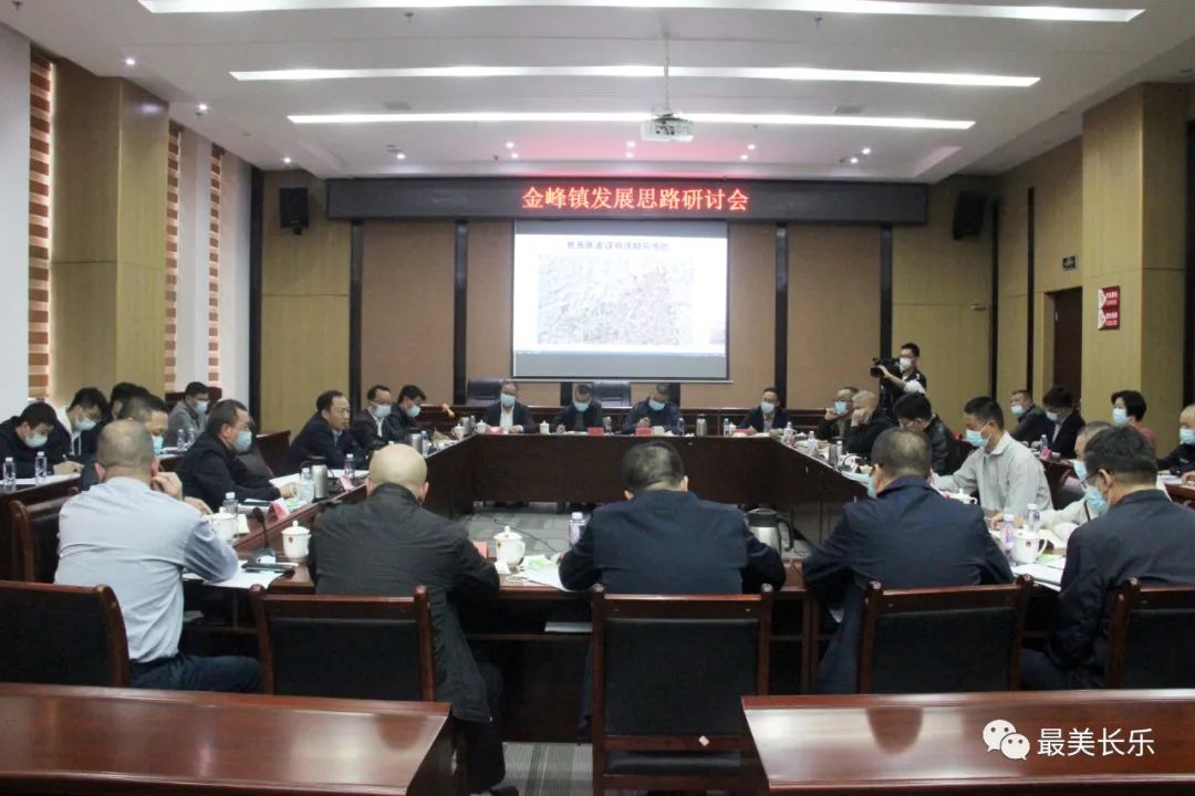 区领导赴金峰镇调研