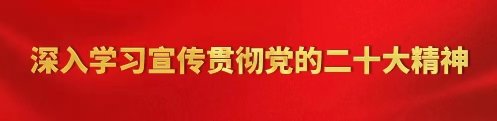 区领导深入企业宣讲党的二十大精神并调研企业文化、疫情防控工作