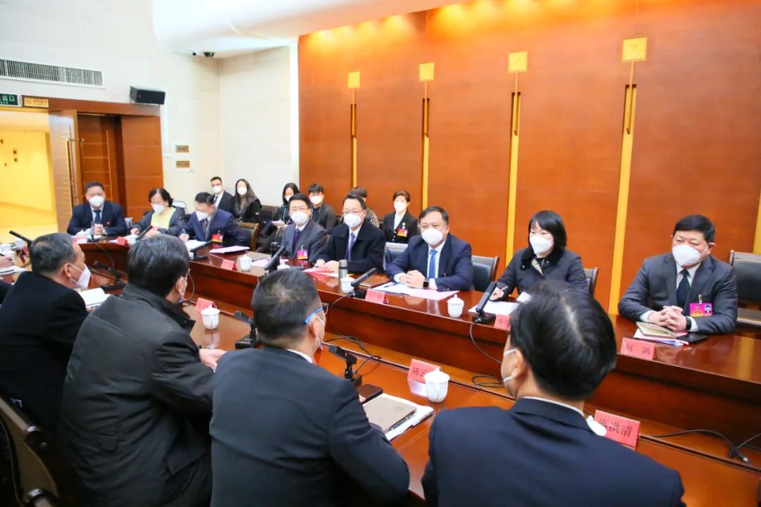 张帆看望港澳委员、代表及华侨华人代表并参加讨论