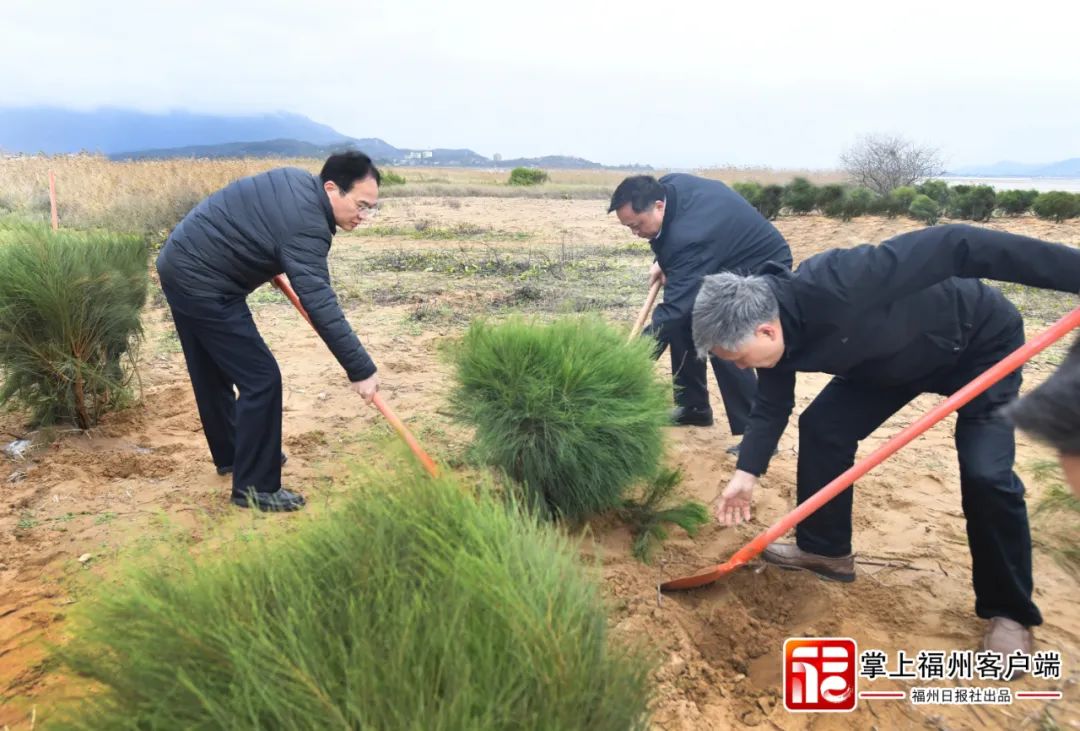 全力打造！福州这里要成为国际知名滨海旅游胜地！