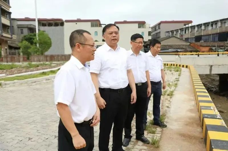 区领导赴潭头镇开展调研督导工作
