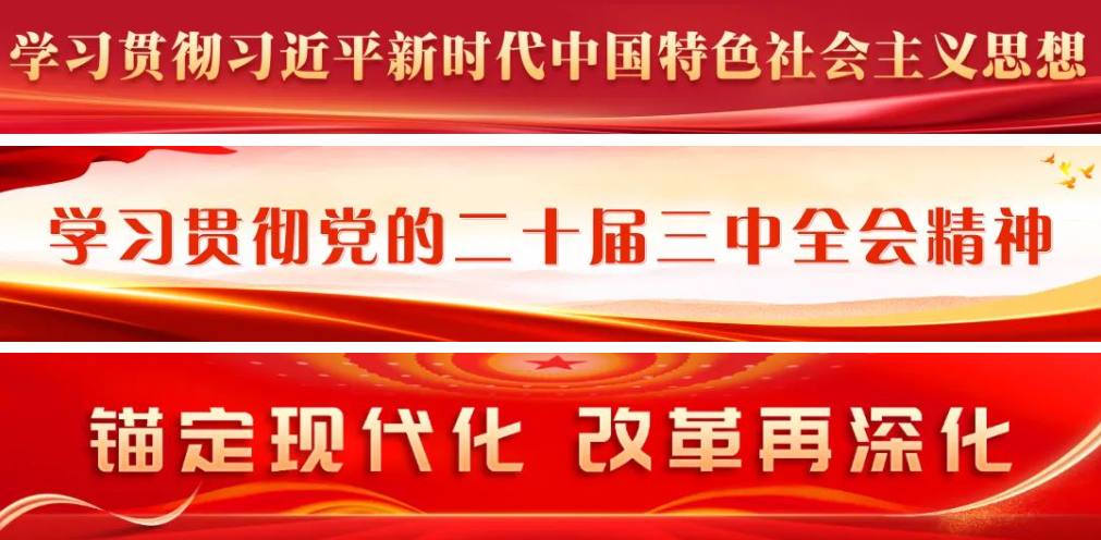 区委常委会召开会议