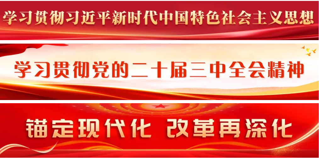 区委常委会召开会议        