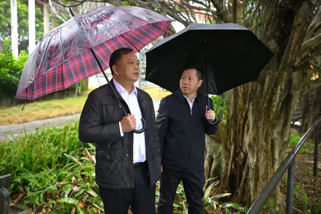 区领导调研镇村有关工作