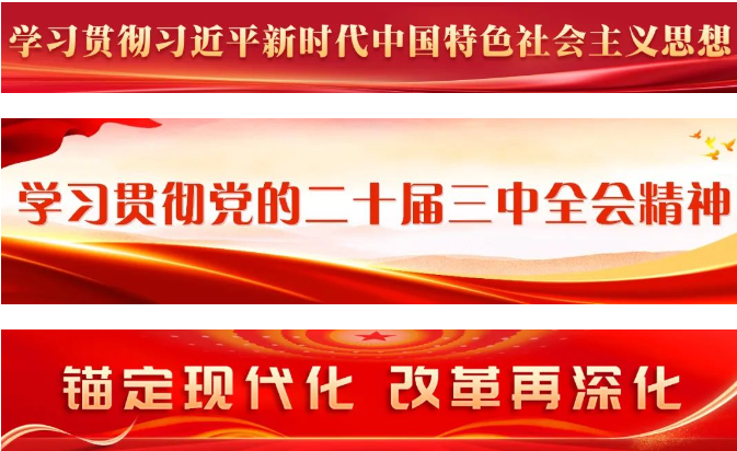 区政府党组（扩大）会议和常务会议召开