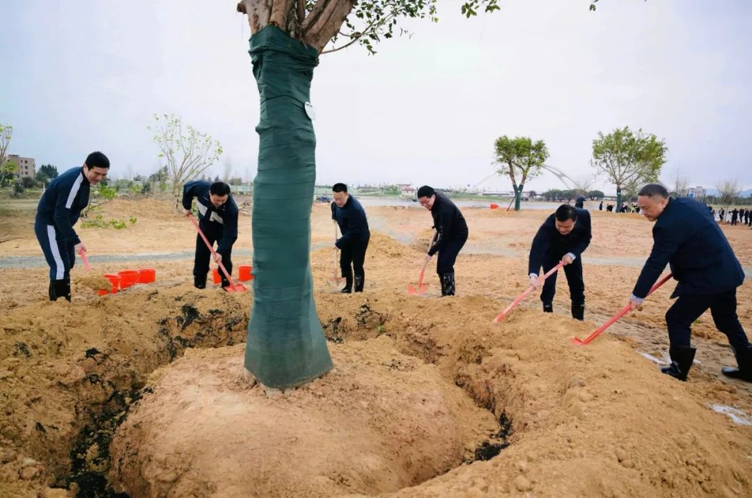 福州新区和长乐区领导参加义务植树活动