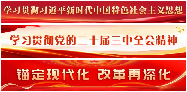 区委常委会召开会议