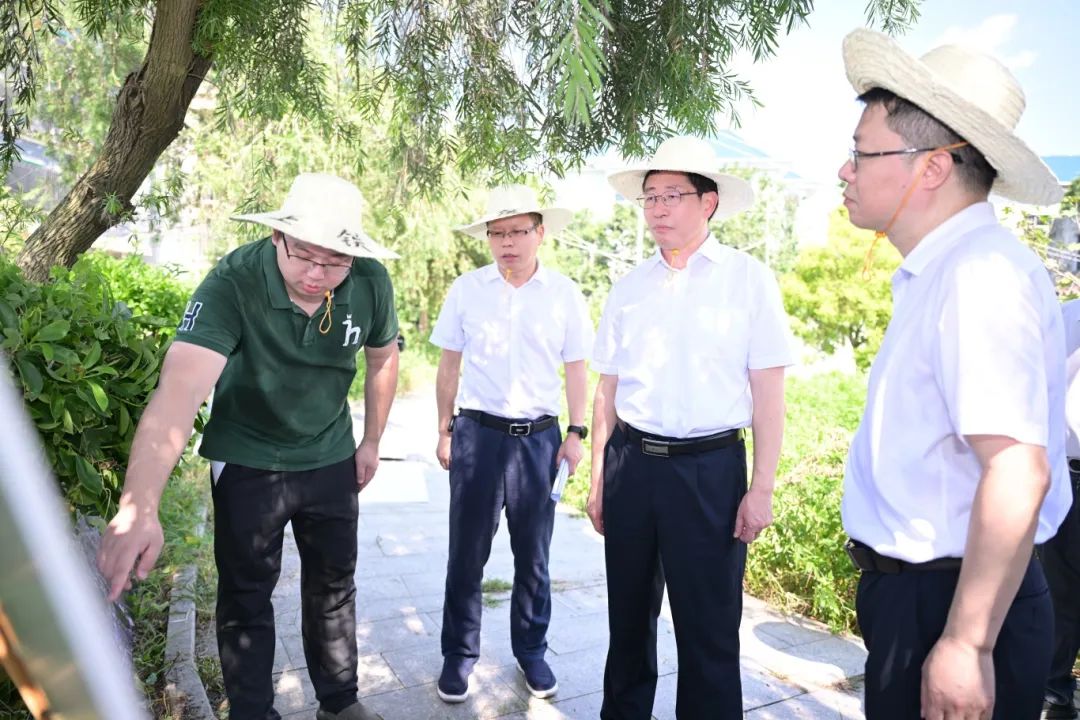 兰文调研金峰镇