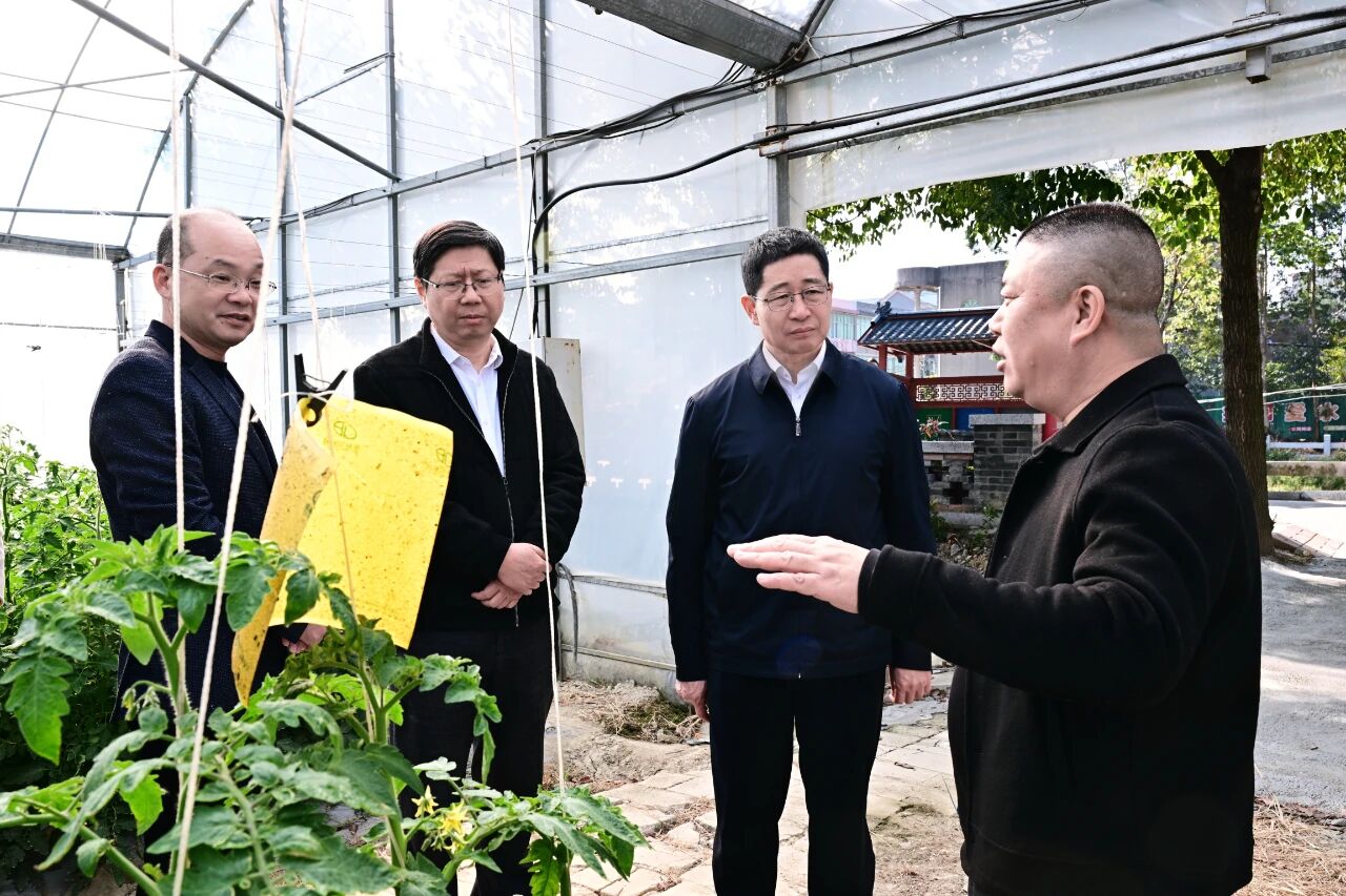 兰文赴鹤上镇宣讲党的二十届四中全会精神并调研乡村振兴暨“护河爱水 清洁家园”工作