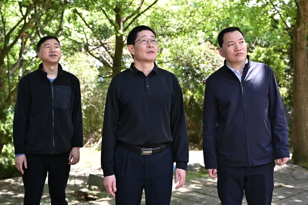 兰文开展乡村振兴及清明森林防火、船舶安全调研