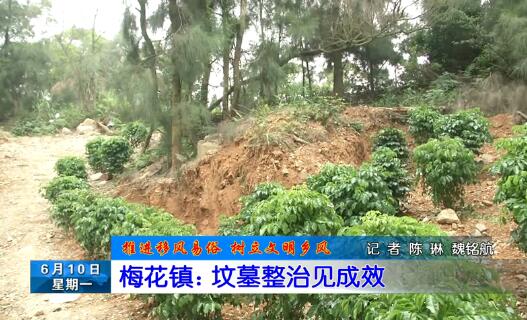 长乐新闻20190610