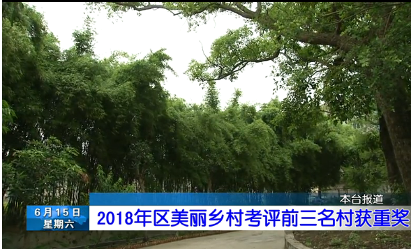 长乐新闻20190615