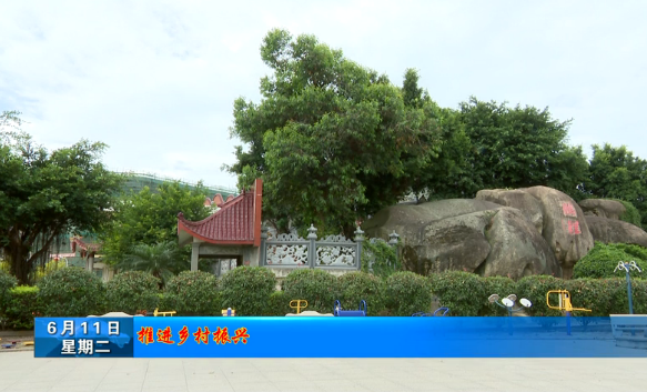 长乐新闻20190611