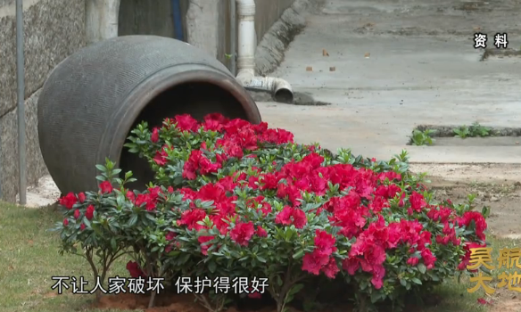 【吴航大地】美丽长乐在行动（二）