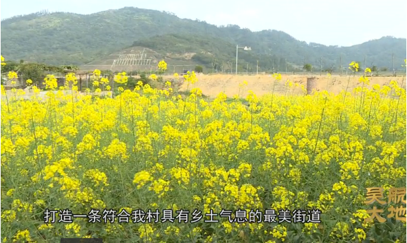 【吴航大地】美丽长乐在行动（三）