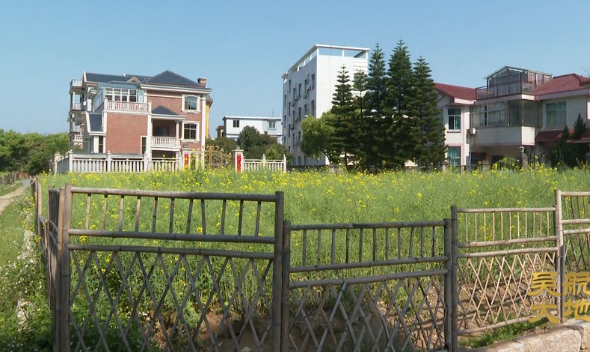 【吴航大地】美丽长乐在行动（五）