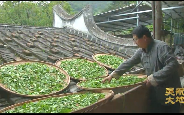 【吴航大地】非遗传承匠心为本（二）