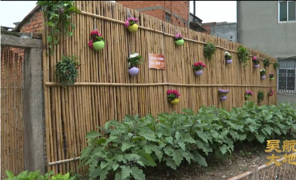 【吴航大地】美丽长乐在行动（七）