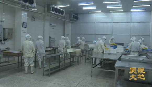 【吴航大地】长乐漳县扶贫协作：筑起连心桥 携手小康路