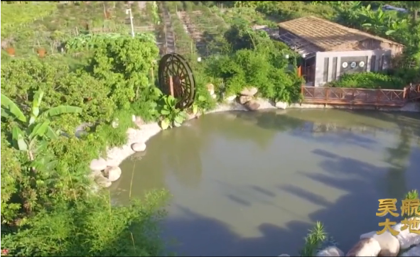 【吴航大地】感受美丽乡村