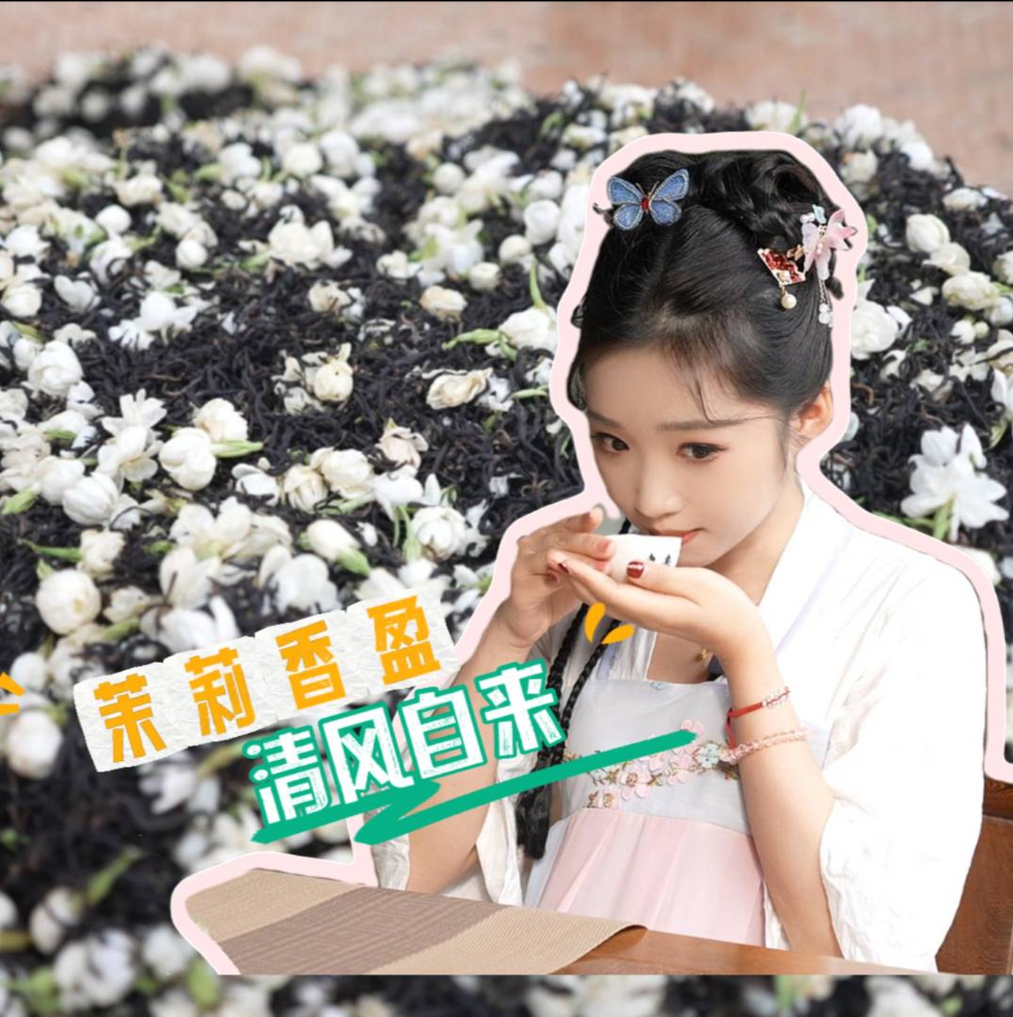 茉莉香盈 清风自来