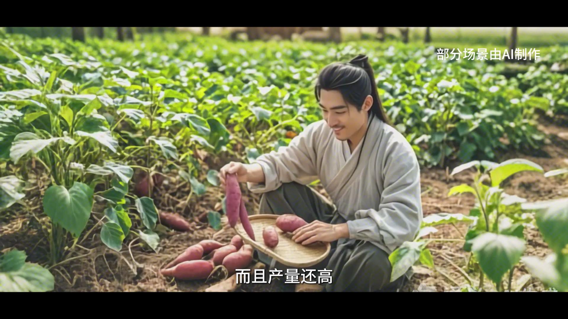 甘薯之父——陈振龙