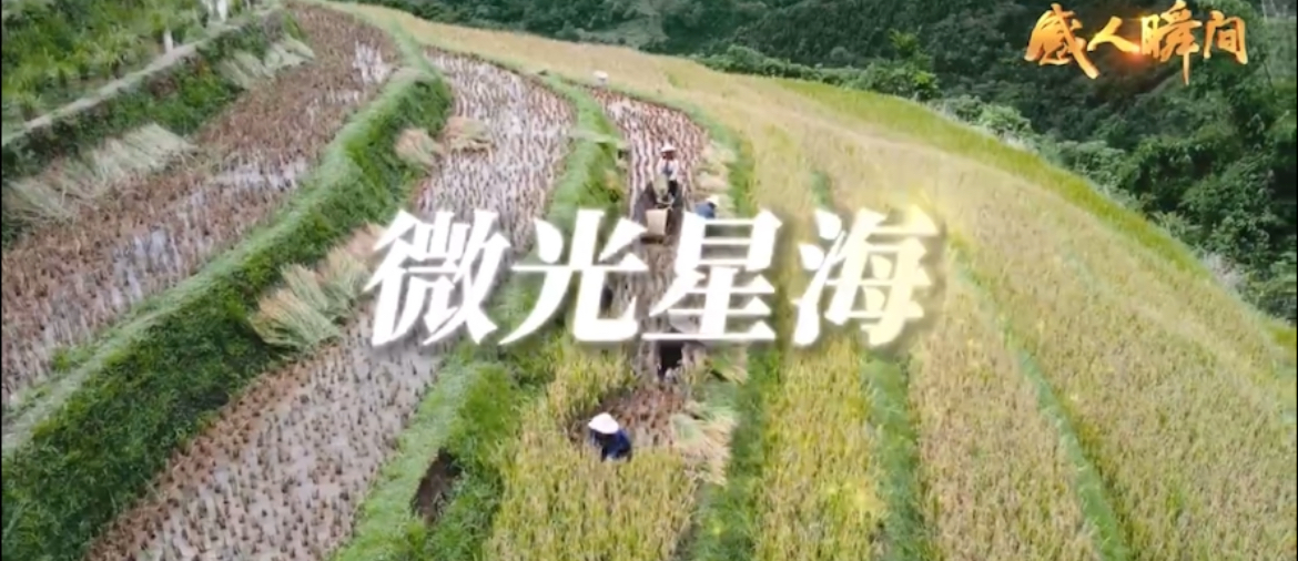 感人瞬间 | 微光星海