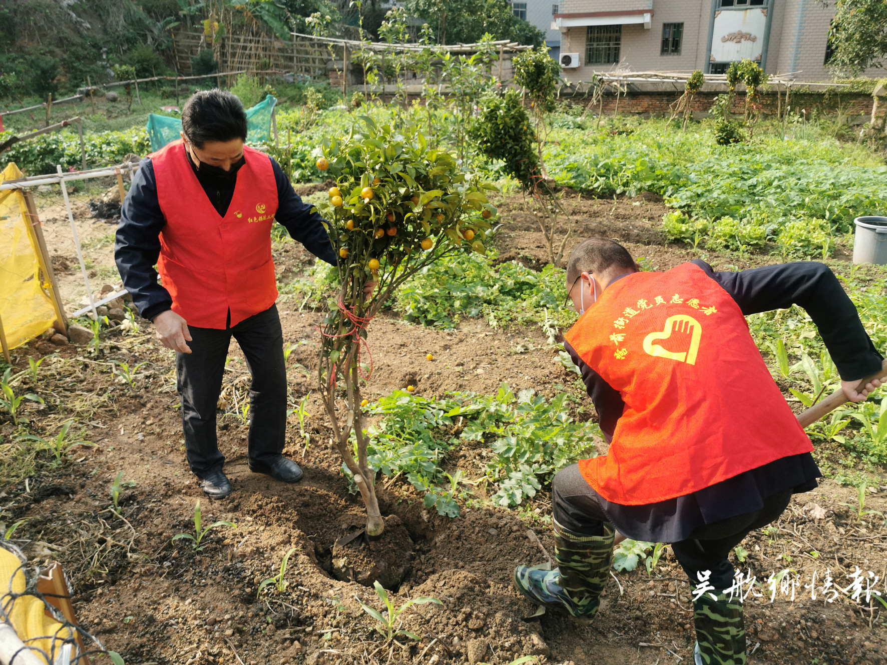 不负春光植树忙 他们为长乐增添更多绿！