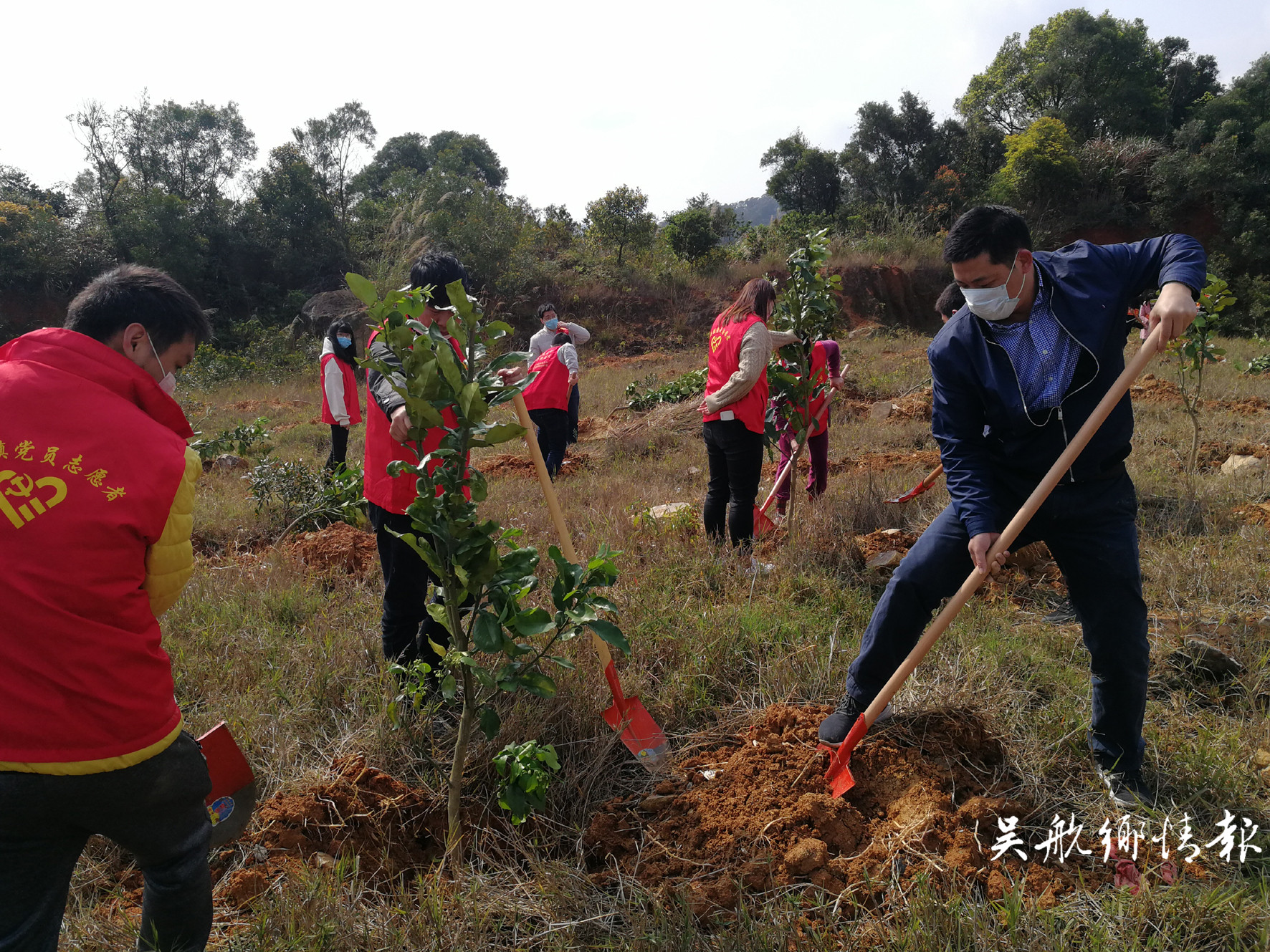 不负春光植树忙 他们为长乐增添更多绿！