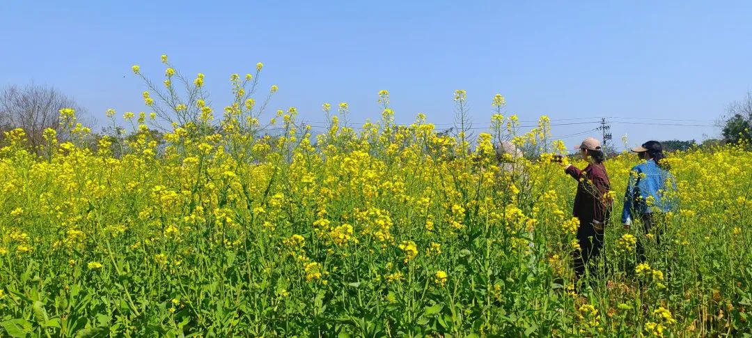 【网络中国节•清明】今天20时49分，长乐正式进入……