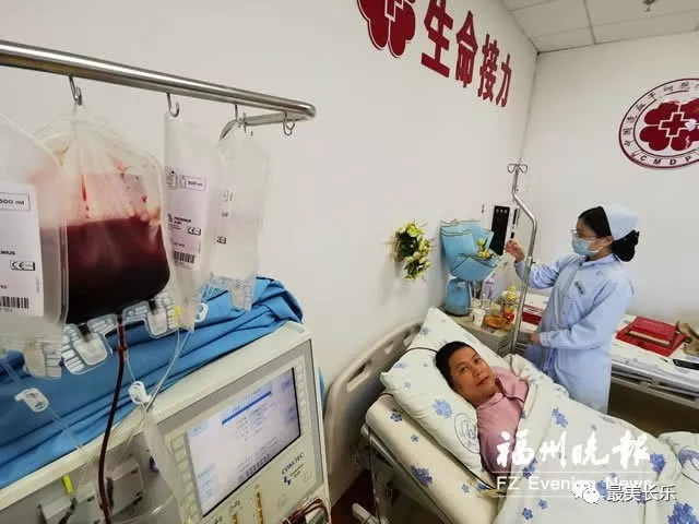 长乐汉子又捐造血干细胞，两获“全国无偿献血奉献奖金奖”！