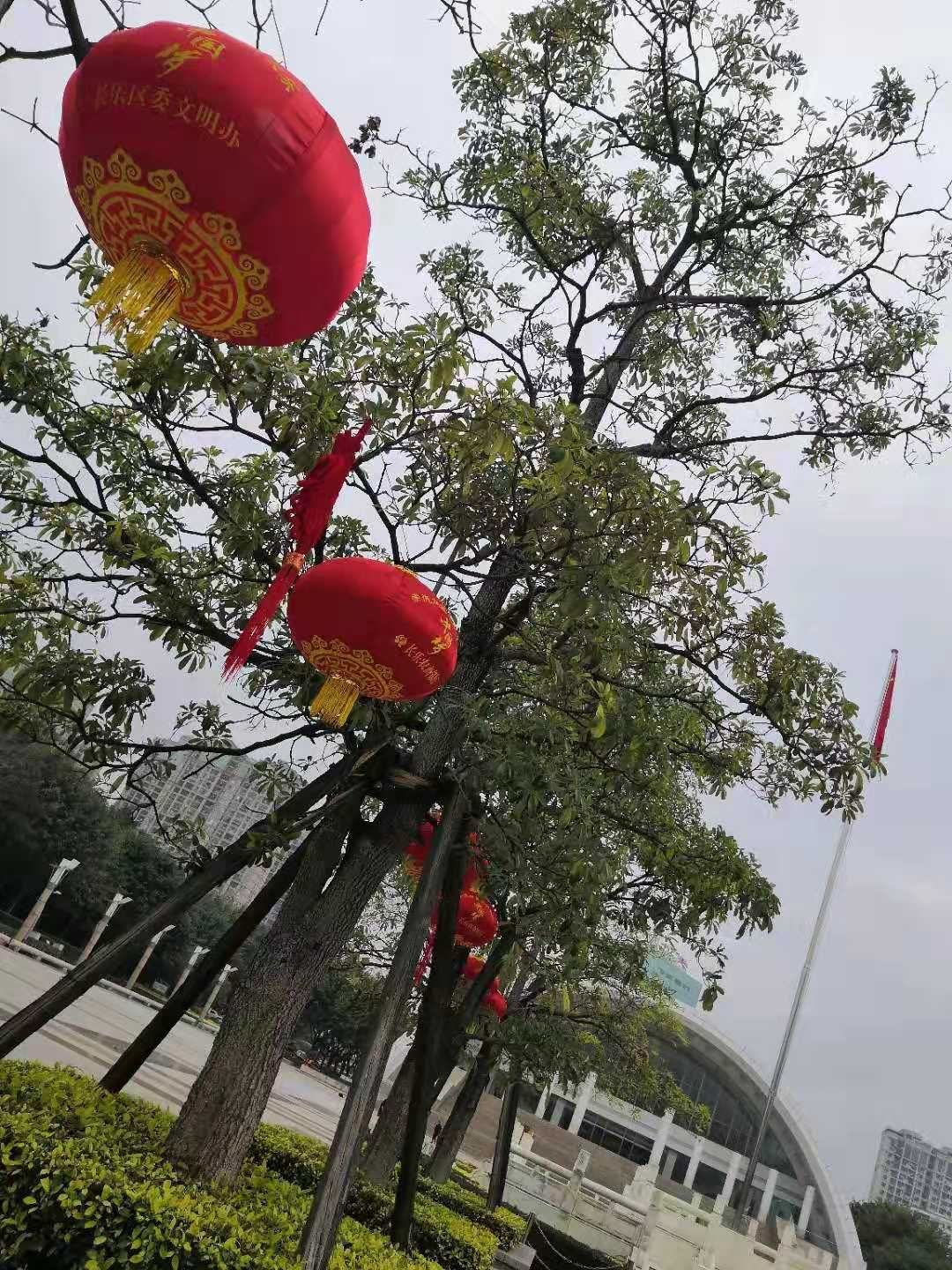 【红红火火过大年】灯笼高挂，年味已浓，长乐等您回家过大年~