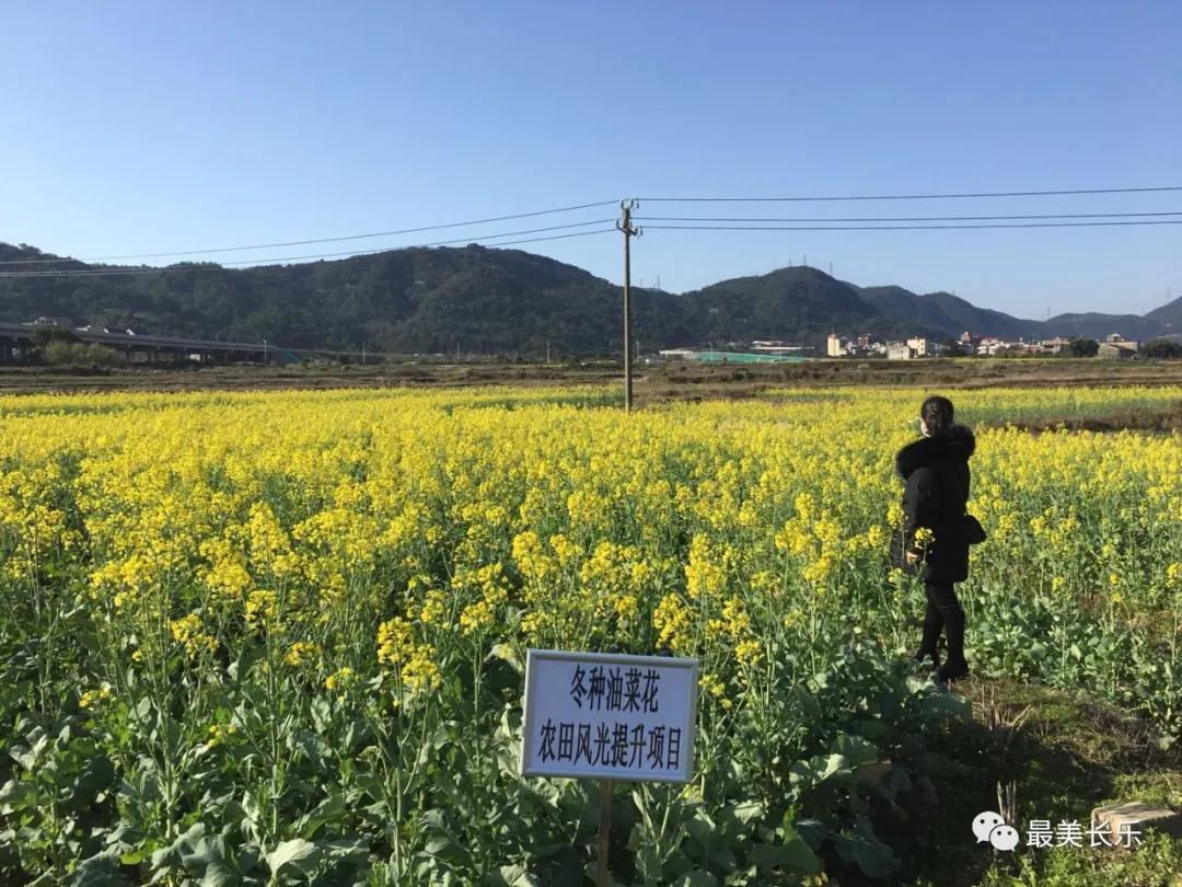 长乐：防疫春耕两不误 田间地头春种忙