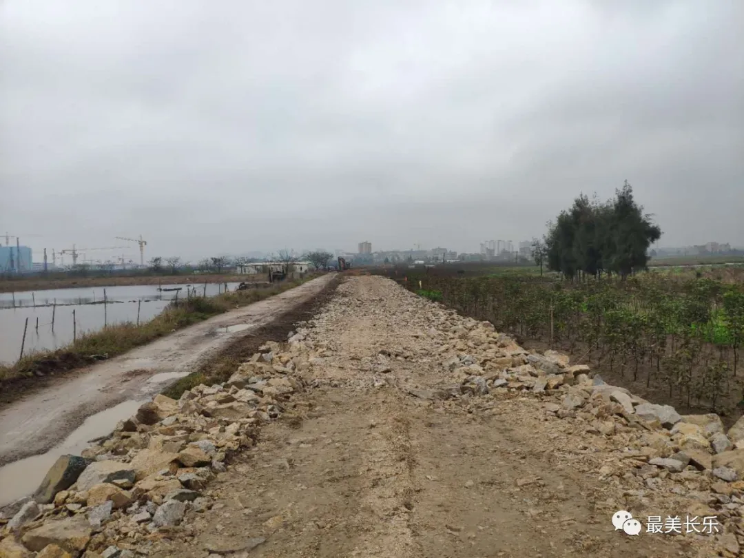 好消息！滨海新城高速公路地铁代建段控制性工程征迁工作取得新进展