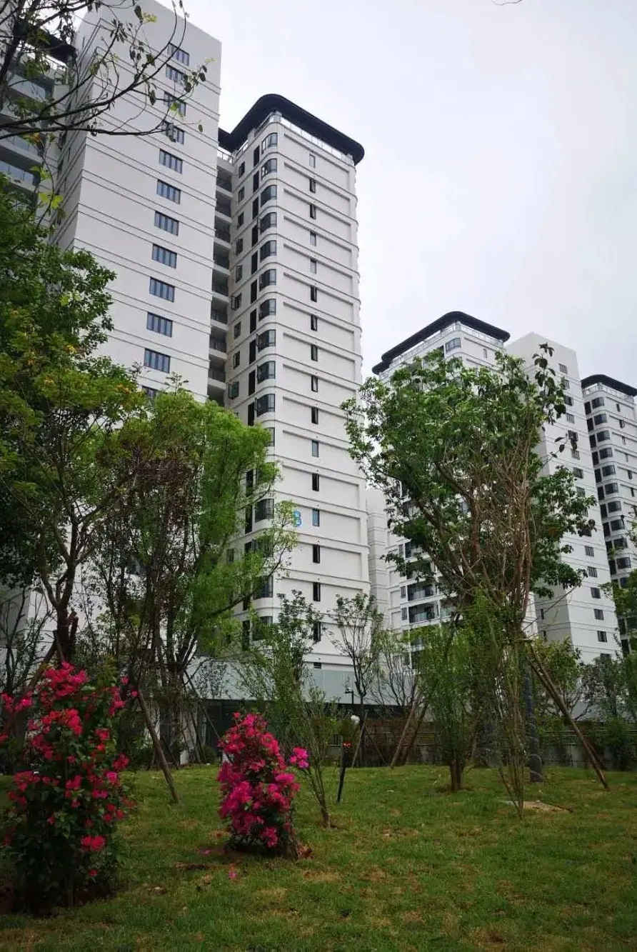 拎包入住！滨海新城租赁住房一期项目全部启用