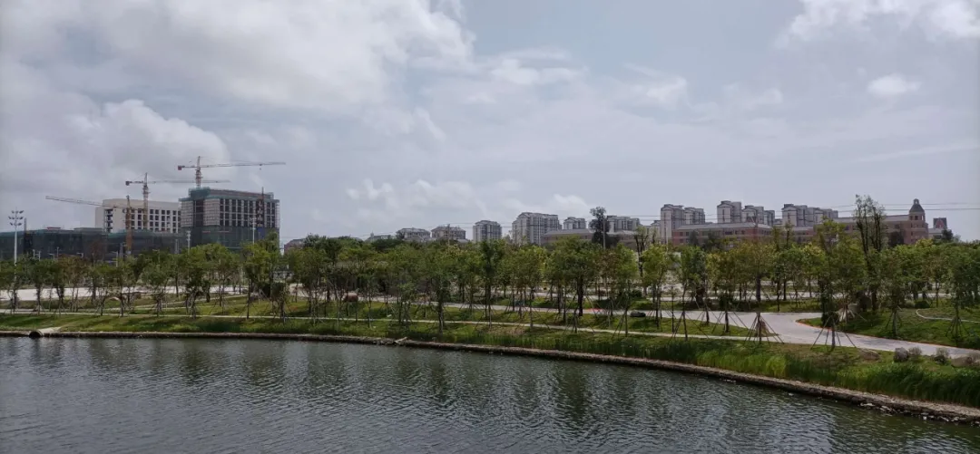 好消息！滨海新城体育公园即将建成！