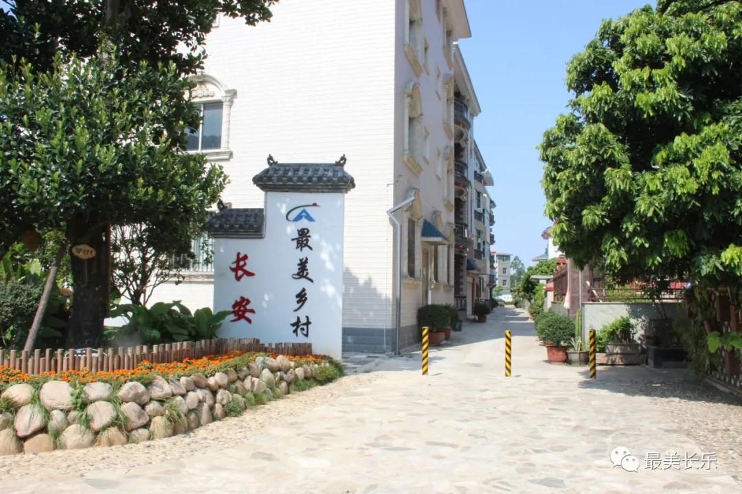 点赞！新华社今天报道了长乐这个美丽乡村