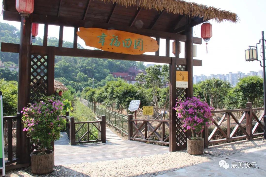 点赞！新华社今天报道了长乐这个美丽乡村