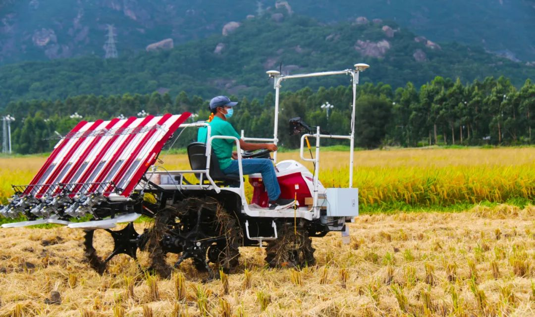喜迎丰收节！新型农业机械推广到长乐田间地头