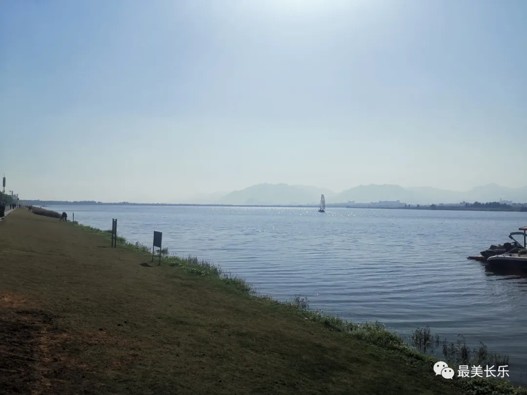 滨海新城加速建设森林城市景观带 项目二期将于今年底完工