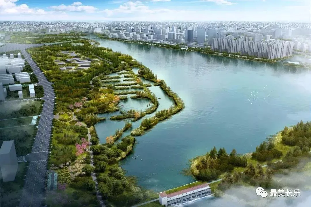 滨海新城加速建设森林城市景观带 项目二期将于今年底完工