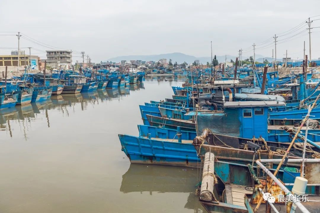 小渔港走上振兴路 长乐漳港门楼村以渔农产业带动乡村旅游