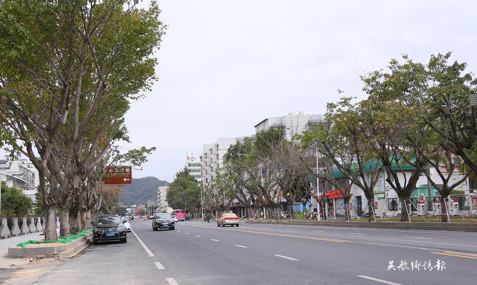 郑和中路北侧和爱心路主车道恢复通车